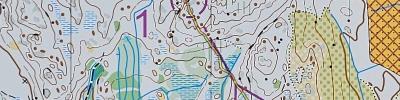 World Masters Orienteering Championships - M50 - Forest Qualification (06/08/2024)