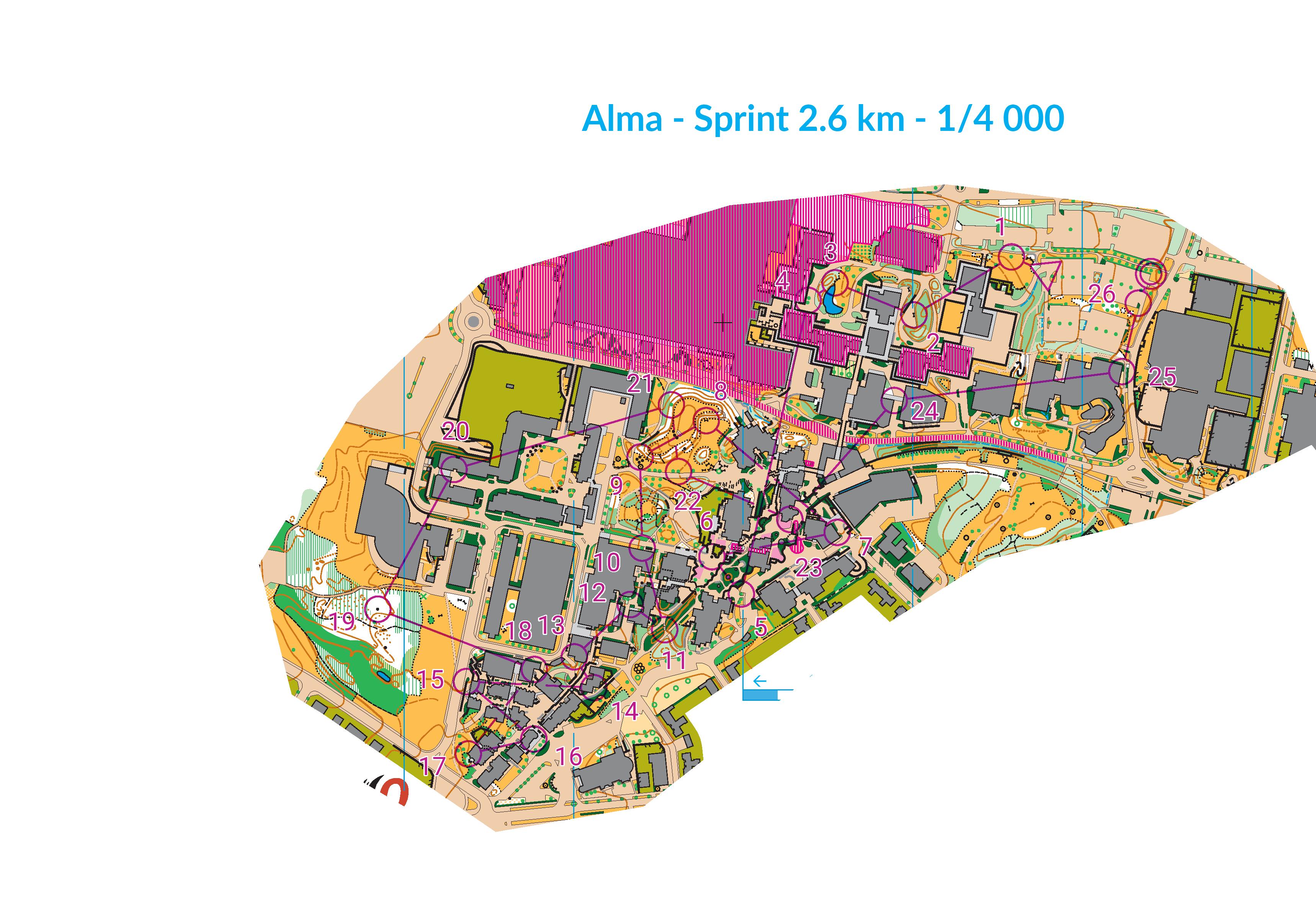 Sprint Alma (27-01-2021)